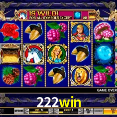 222win Rio de Janeiro - Professional Dealers